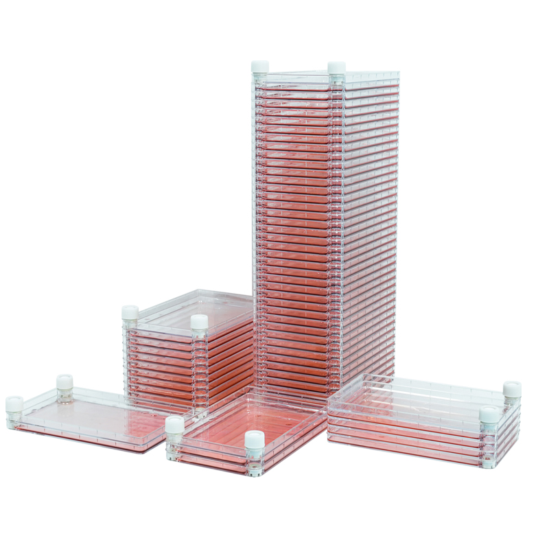 Sistema de Fábrica Celular Innovador Bioland™ 10-Layer para Cultivo Eficiente