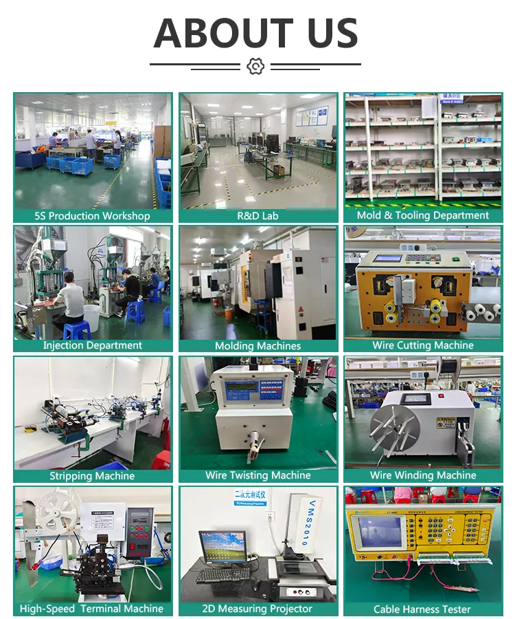 Instalaciones de producción y control de calidad