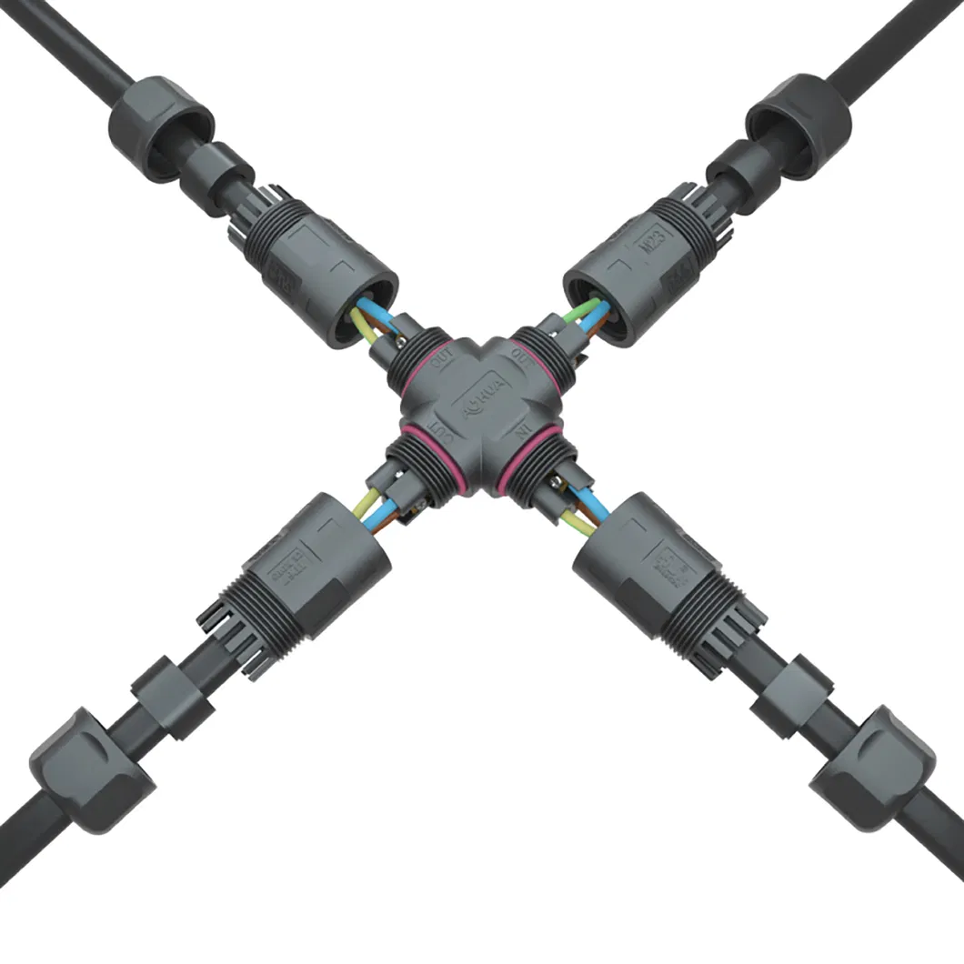 Estructura interna M23
