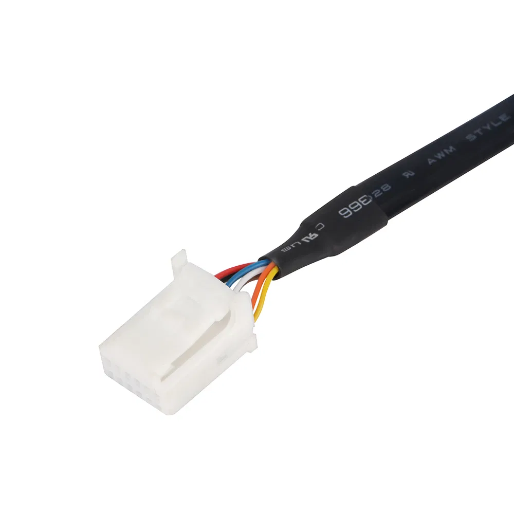 Tipo Personalizado 1 J1939 9p Enchufe para Conector Automotriz 12p