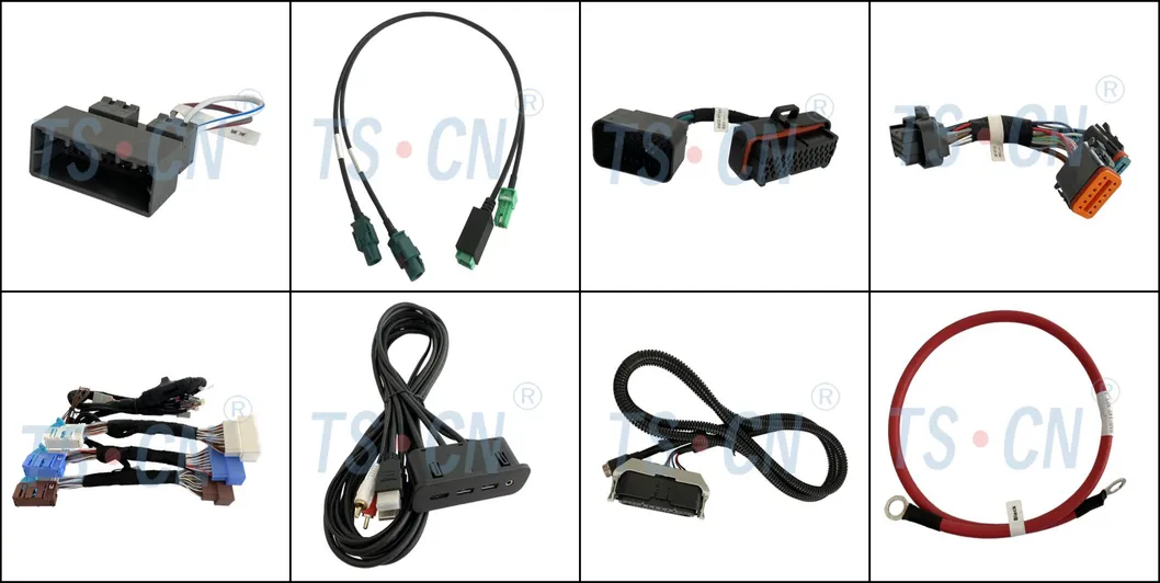 Conector de soporte de relé Tscn 06pin