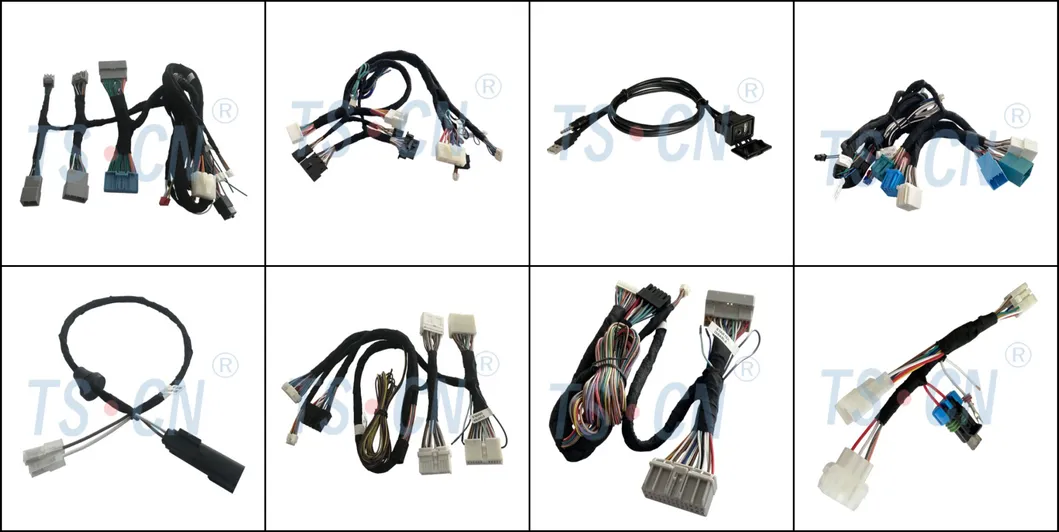 Conector de soporte de relé Tscn 06pin