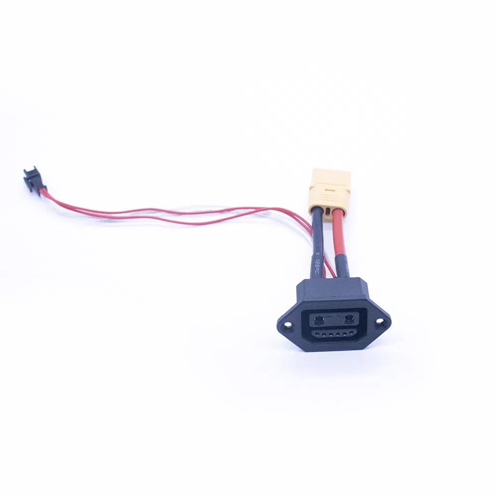 Detalle de Conector de la Batería