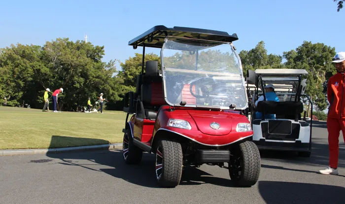 Dois Assentos Mini Carros Luxuosos Novo Fábrica 4 Carrinho de Golfe