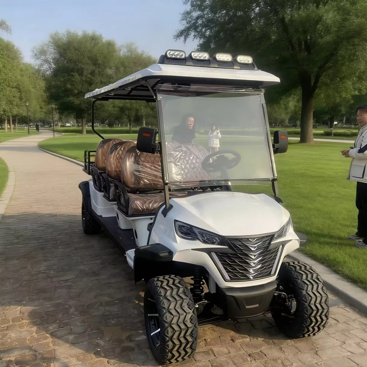 Carrinho de Golfe Elétrico de Quatro Rodas de Alta Capacidade, Veículo Poderoso para Uso em Campos de Golfe