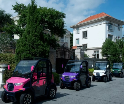 Carrinho de Golfe de Luxo com Ar Condicionado para Buscar Crianças na Escola