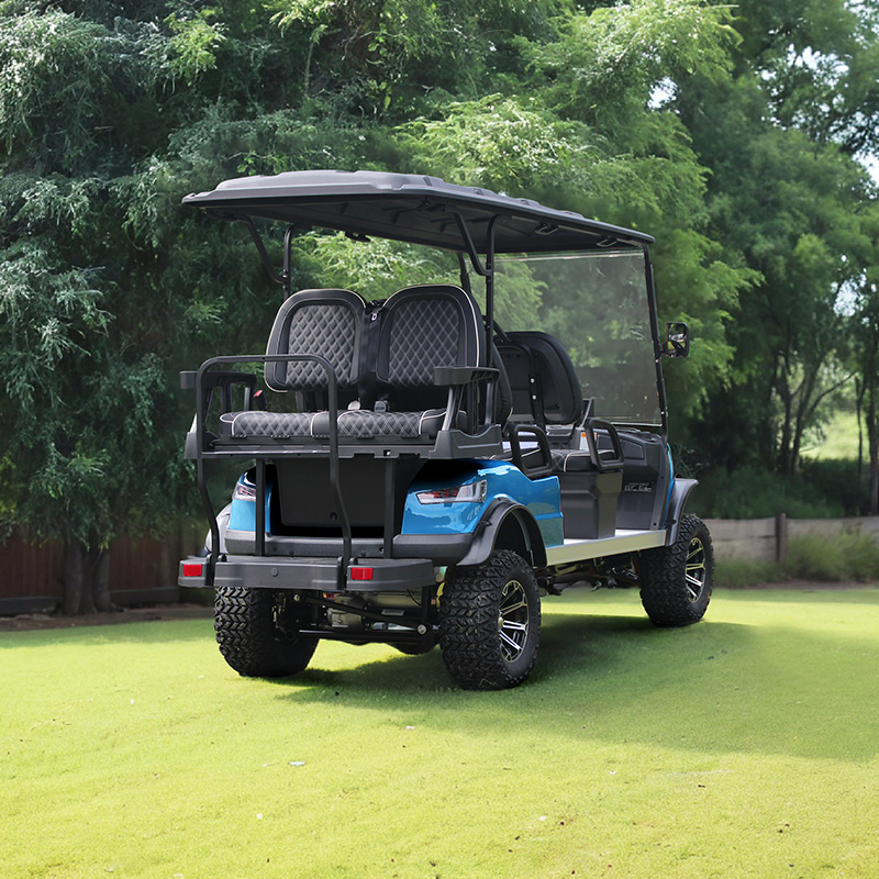 Carrinho de Golfe de Luxo para Uso em Campo e Rua com Aprovação do DOT