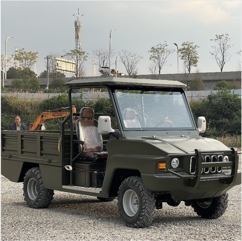 Veículo Utilitário Elétrico 4X4 Scooter Go Kart 4-Seater Carrinho de Golfe Fechado com Recursos de Carrinhos de Golfe 1000cc