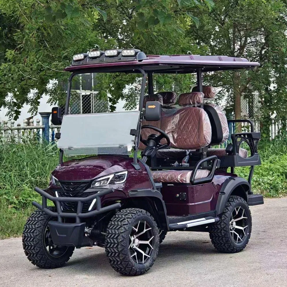 Padrão ANSI Veículo de Baixa Velocidade (LSV) Carrinho de Golfe Compliant Fmvss 500 para Uso em Vizinhança nos EUA