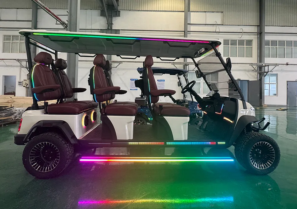 Detalhe do Carrinho de Golfe 5