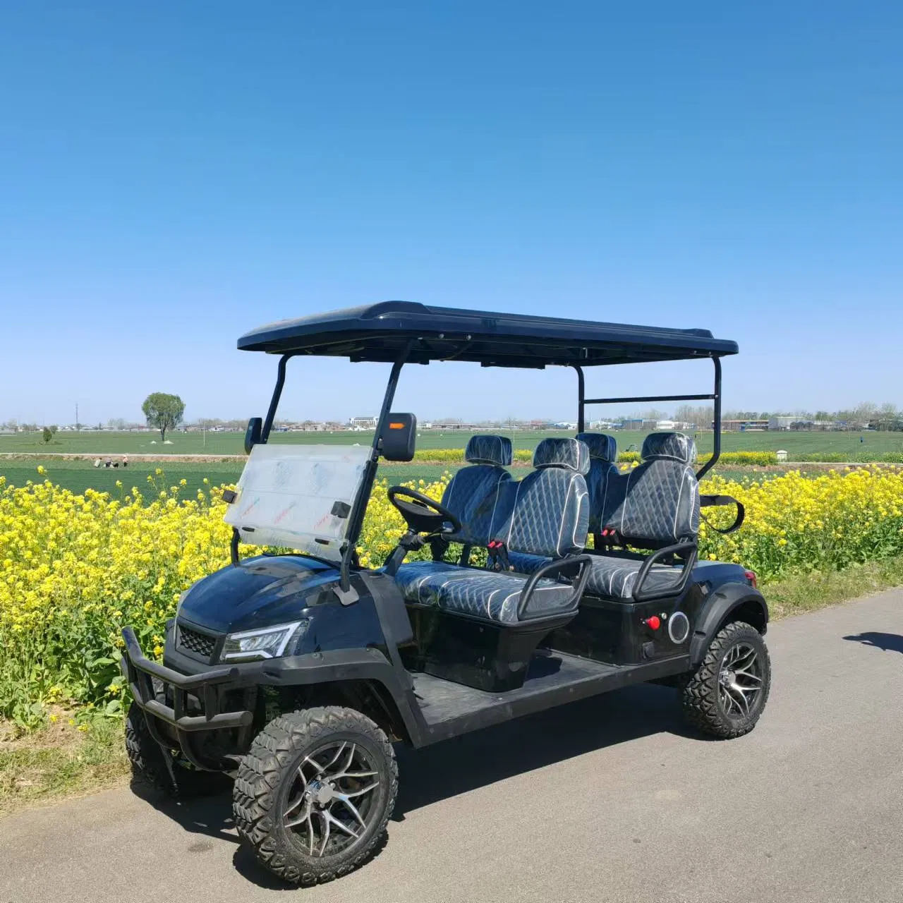 Carrinho de Golfe Elétrico 10