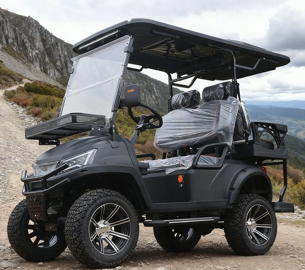 Carrinho de Golfe Detalhes