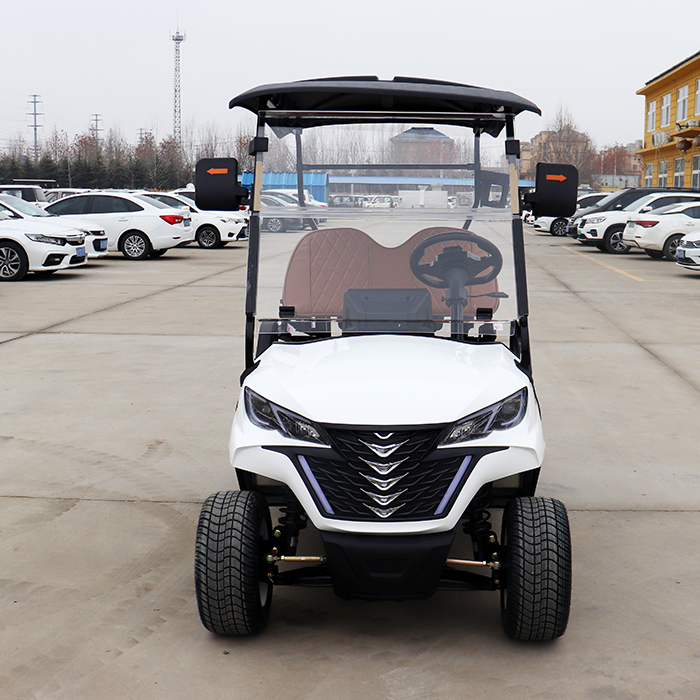 Novidades Keyu 2 Assentos Carrinho de Golfe de Luxo para Campo de Golfe
