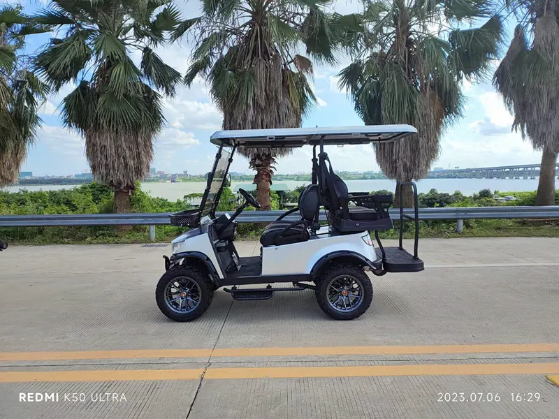 Carrinho de Golfe Elétrico para Uso em Clube de Golfe Carro Elétrico Pequeno