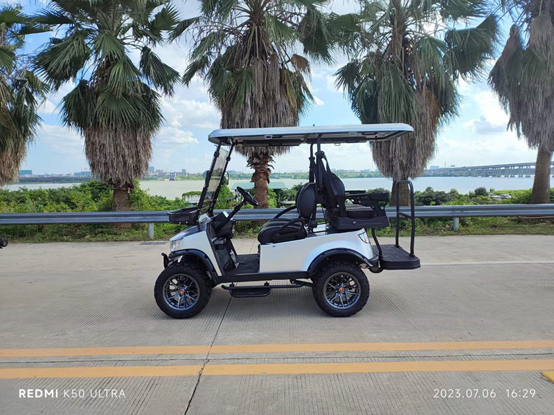 Carrinho de Golfe Elétrico para Uso em Clube de Golfe Carro Elétrico Pequeno
