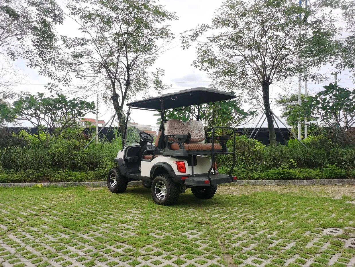 72V Carrinho de Golfe de Luxo Drive Carro Elétrico de Golfe 4 Veículo Utilitário