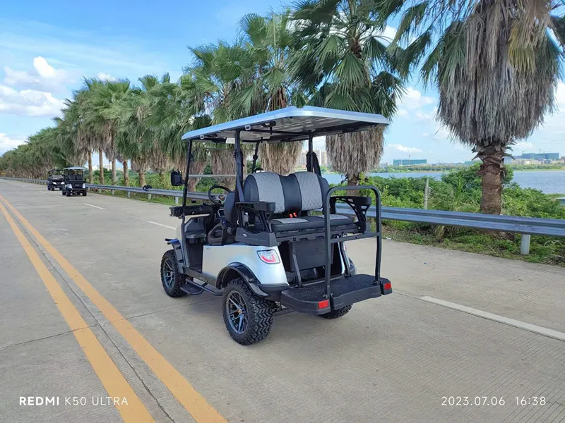 Carrinho de Golfe Elétrico para Uso em Clube de Golfe Carro Elétrico Pequeno
