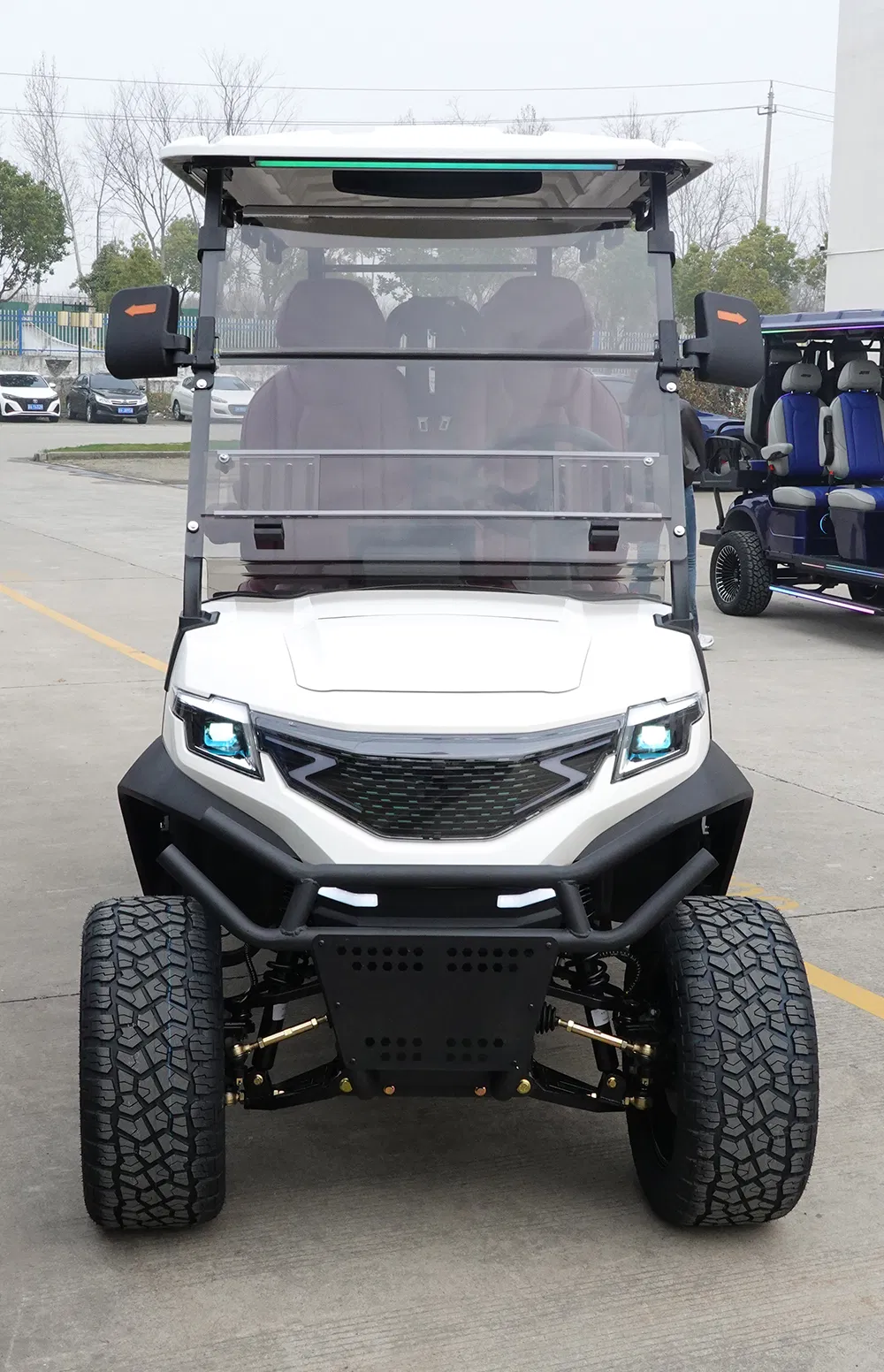 Detalhe do Carrinho de Golfe 1