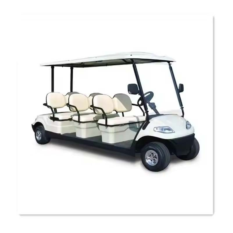 Carrinho de Golfe Elétrico Aprovado pelo CE 2 Lugares para Uso Pessoal