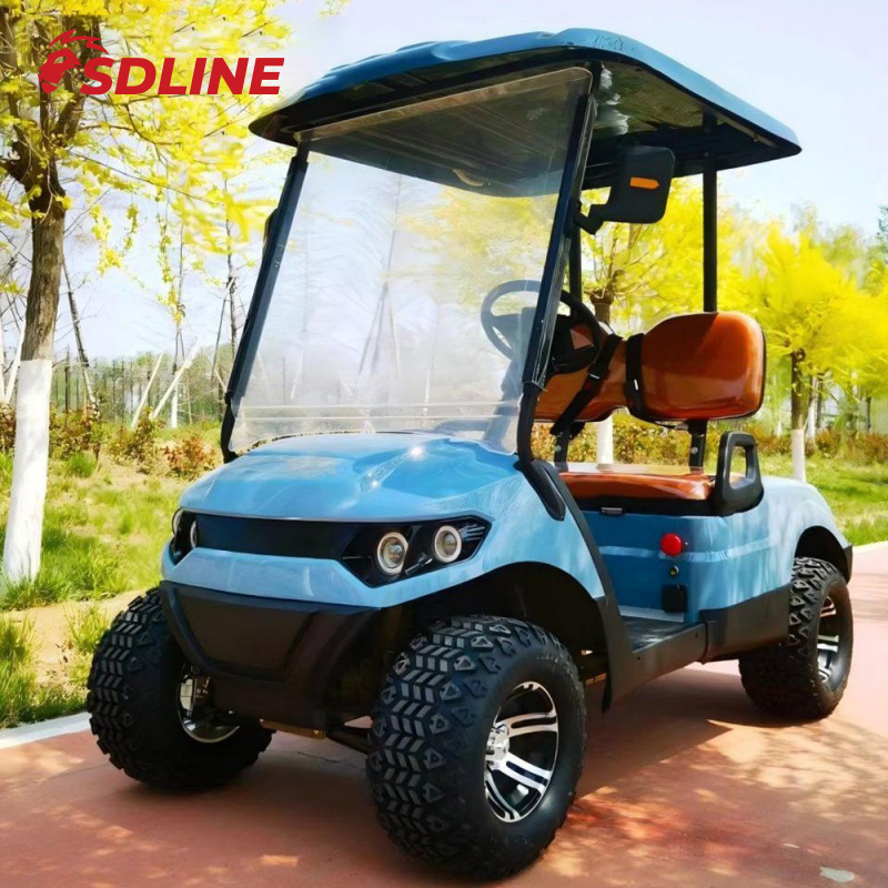 Preço Mais Baixo 2 Carrinhos de Golfe Elevados a Gasolina Carrinhos de Golfe a Gasolina Suporte à Personalização