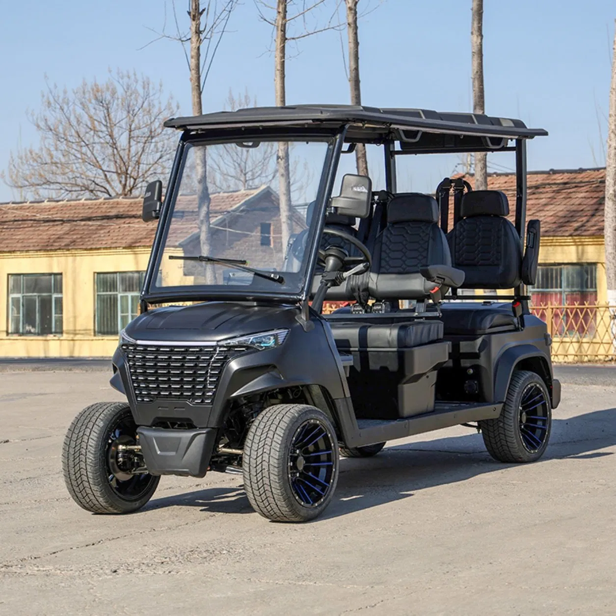 Assentos de Luxo Mais Largos Casco Preto Modelo 4 Carrinho de Golfe Elétrico com Assento Frontal