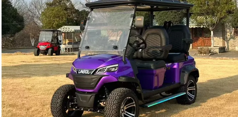 Carrinho de golfe detalhe 1