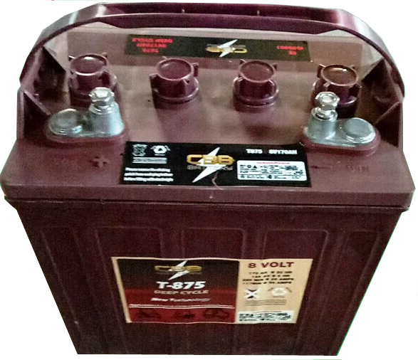 Bateria Tubular de Ciclo Profundo Trojan Substituir T875 8V 170ah para Carrinho de Golfe