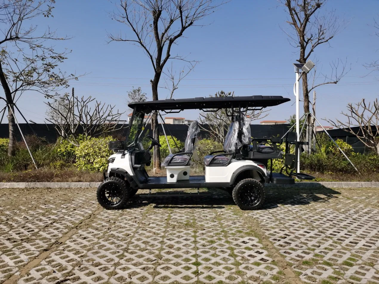 Veículo de Caça Buggy Golf Carro Elétrico Carrinho de Golfe Veículo Utilitário