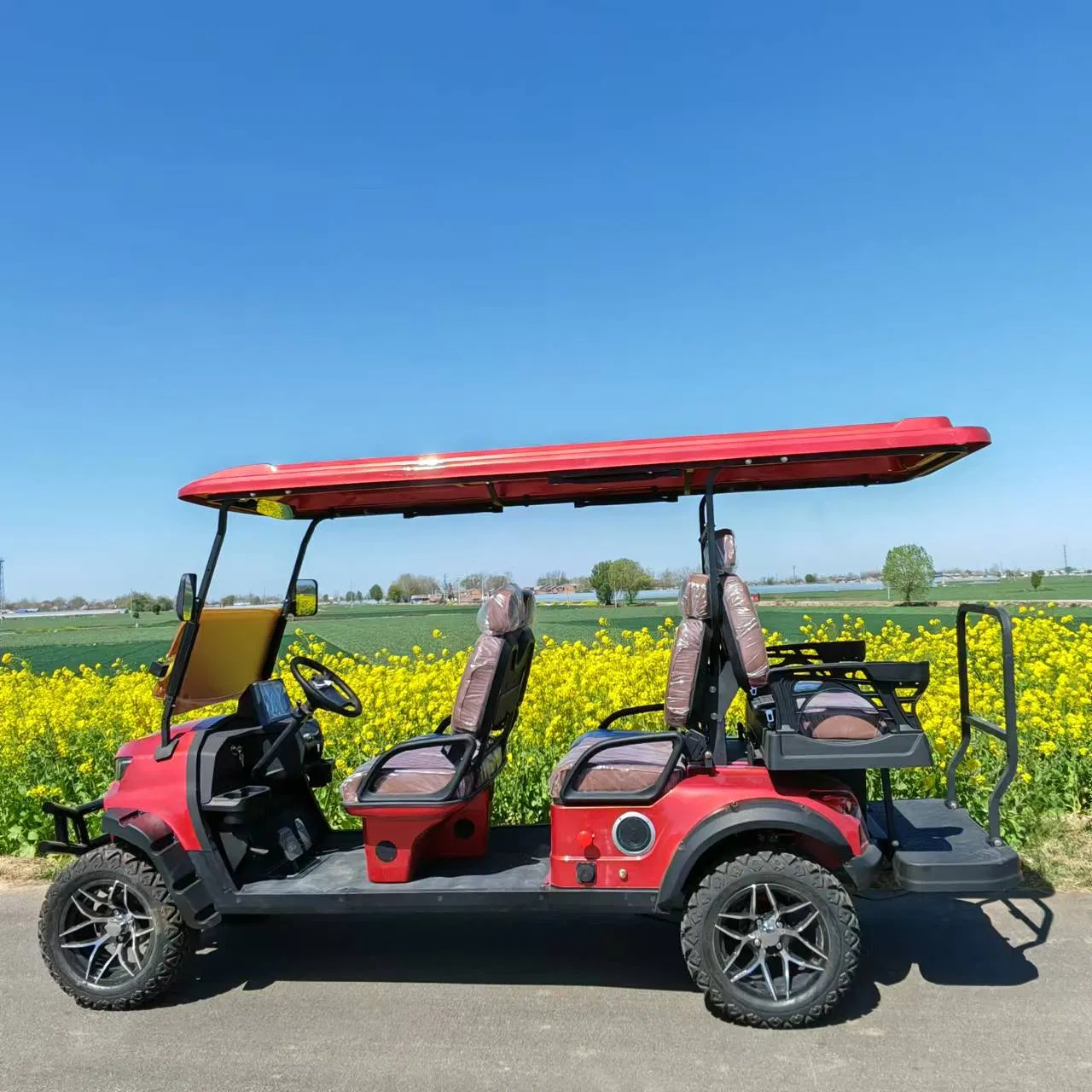 Carrinho de Golfe com Bateria de Alto Desempenho Pequeno Buggy Elétrico com 4-Seat Teto 2ND Carts de Geração