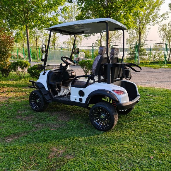 2 Seats Golf Cart 60V 100ah Battery Electric for Golf Course Use