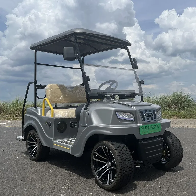 2025 Parison 2 Assentos Elétricos de Carro com Estrutura de Alumínio Carrinho de Golfe Elétrico Scooter de Golfe Off Road Carrinho de Golfe
