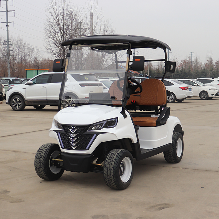 Novidades Keyu 2 Assentos Carrinho de Golfe de Luxo para Campo de Golfe