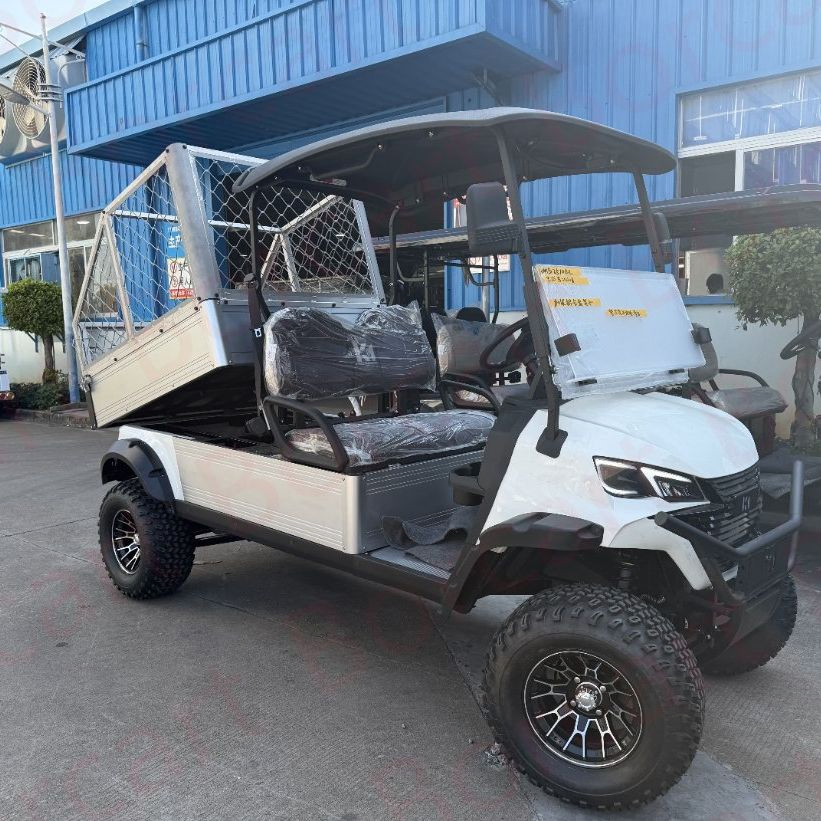 Veículo Elétrico Utilitário Carrinho Utilitário Buggy Utilitário Golfe Utilitário