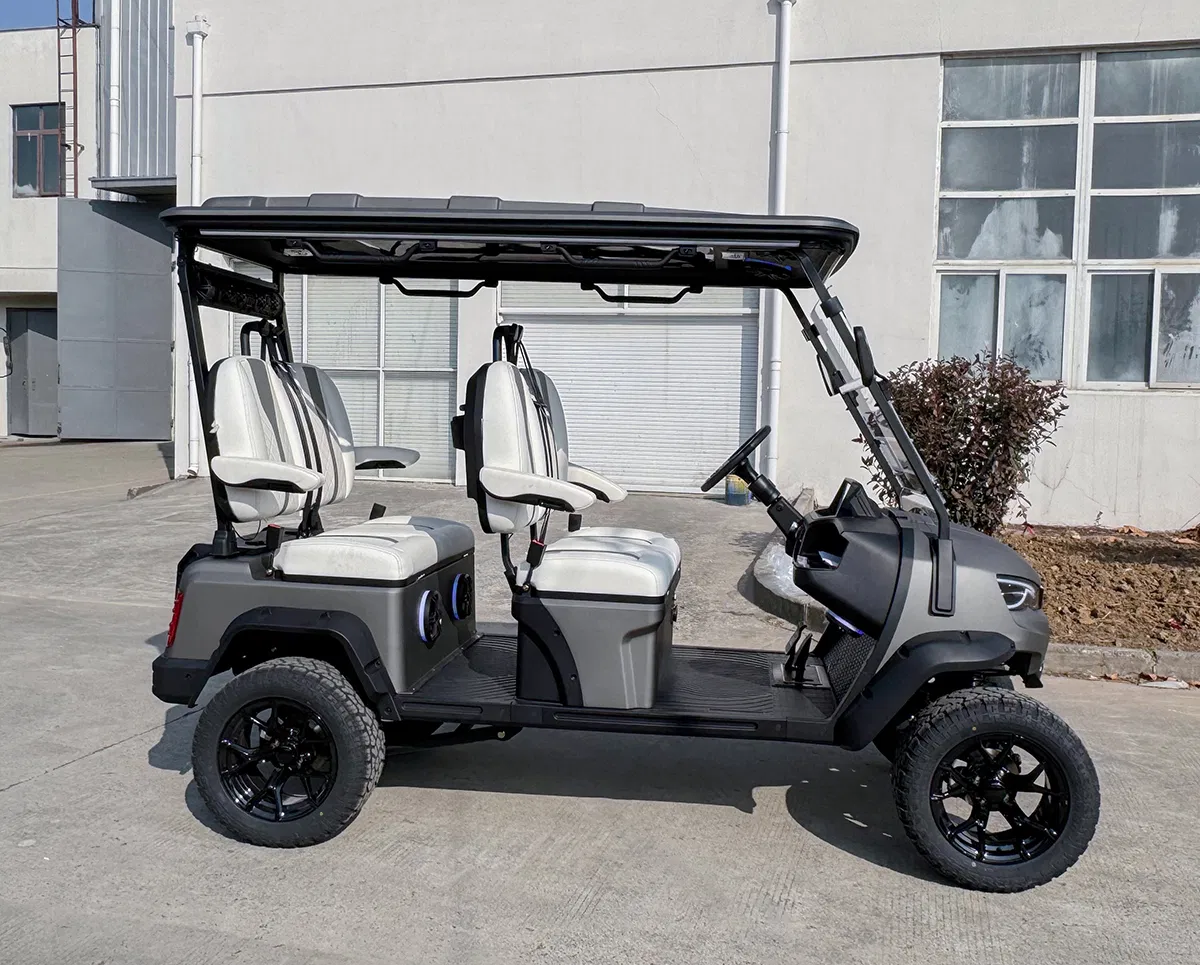 Detalhe do carrinho de golfe 3