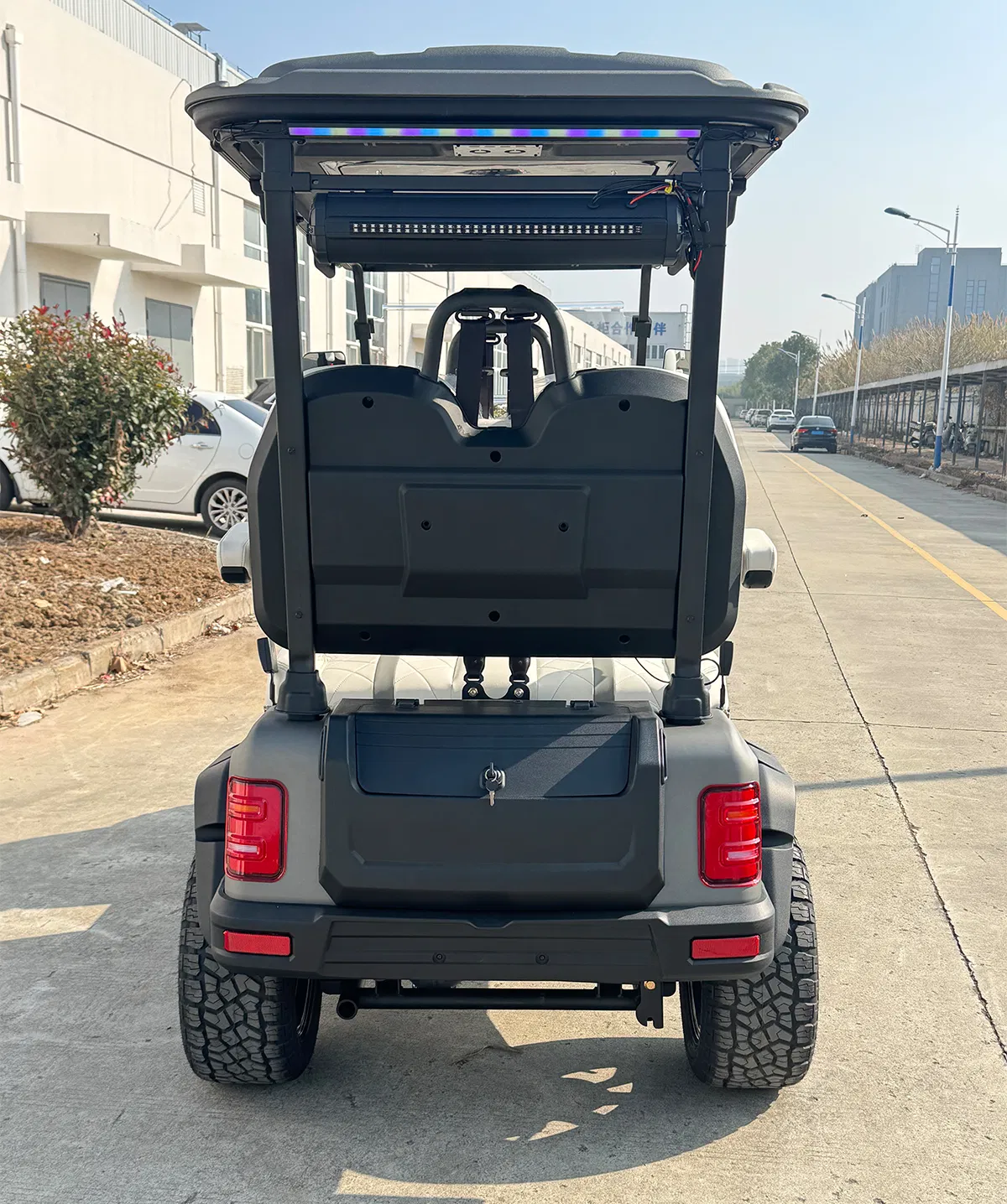 Detalhe do carrinho de golfe 5