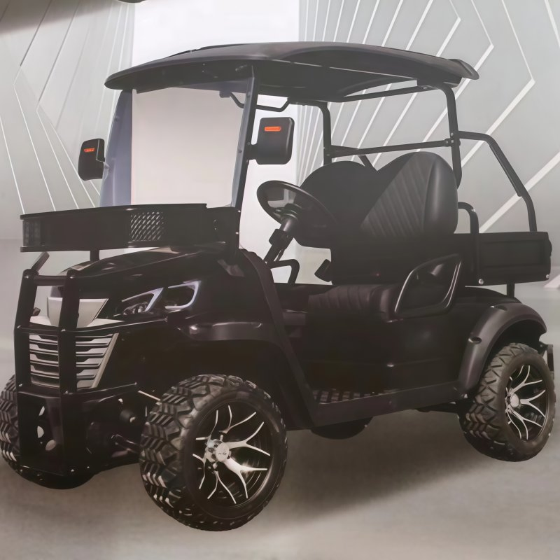 Carrinho de Golfe Elétrico Aprovado para Uso Urbano e Suburbano de Luxo Certificado