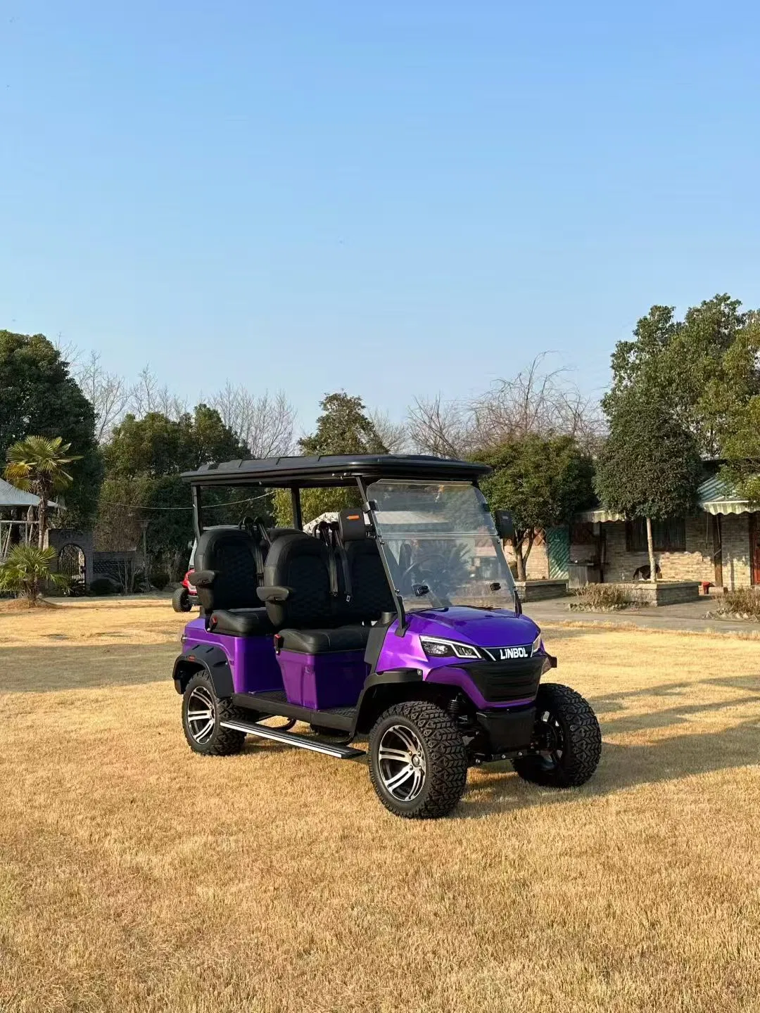 Carrinho de golfe a gasolina mini chinês com tempo de entrega rápido atacado