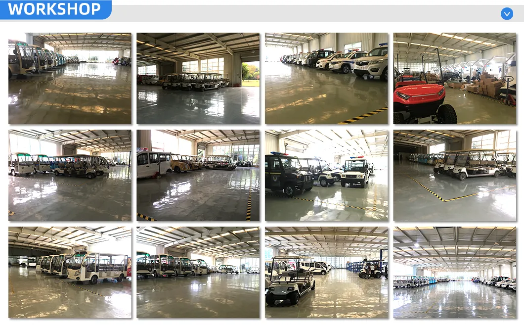Carrinho de Golfe de Luxo para Uso em Campo e Rua com Aprovação do DOT