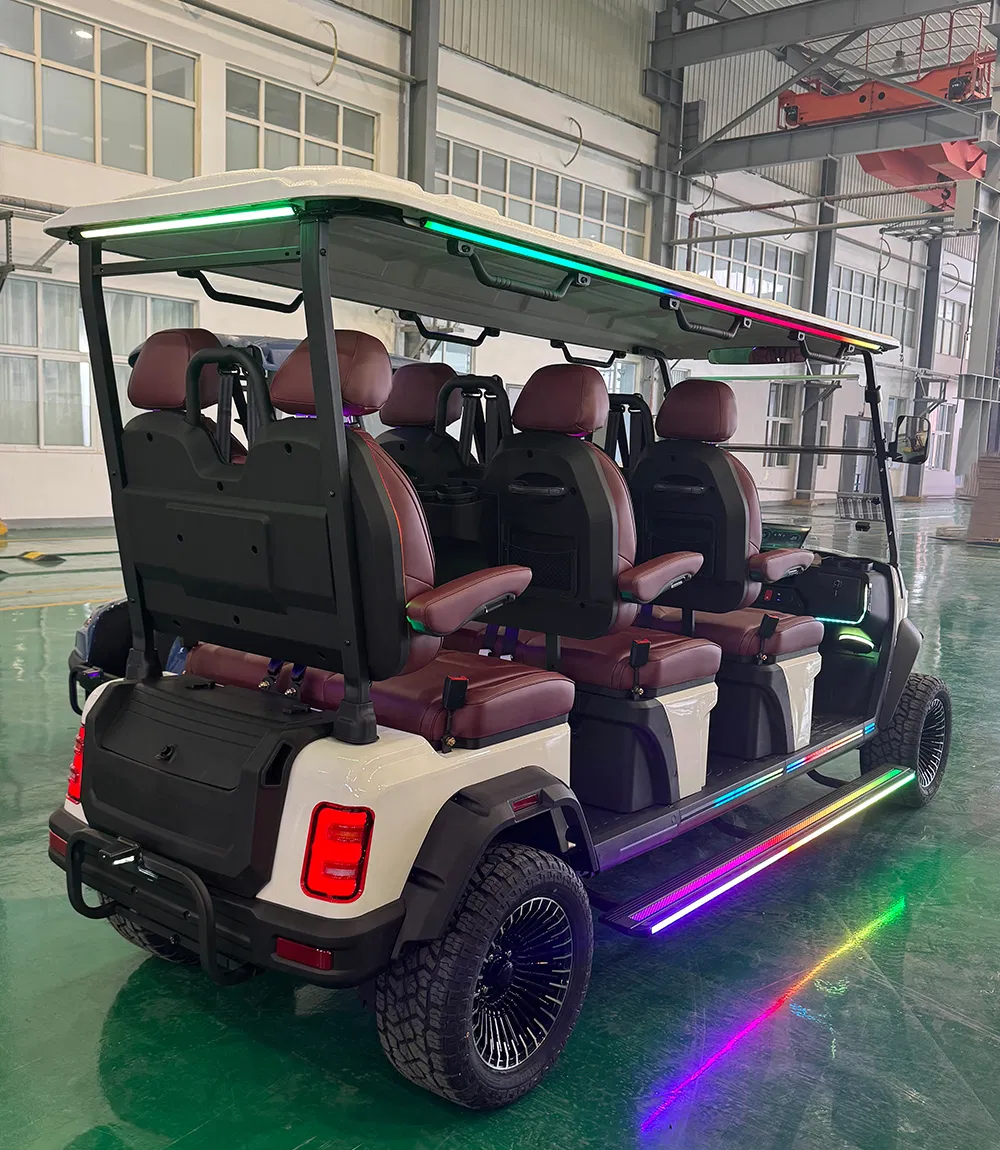 Detalhe do Carrinho de Golfe 6