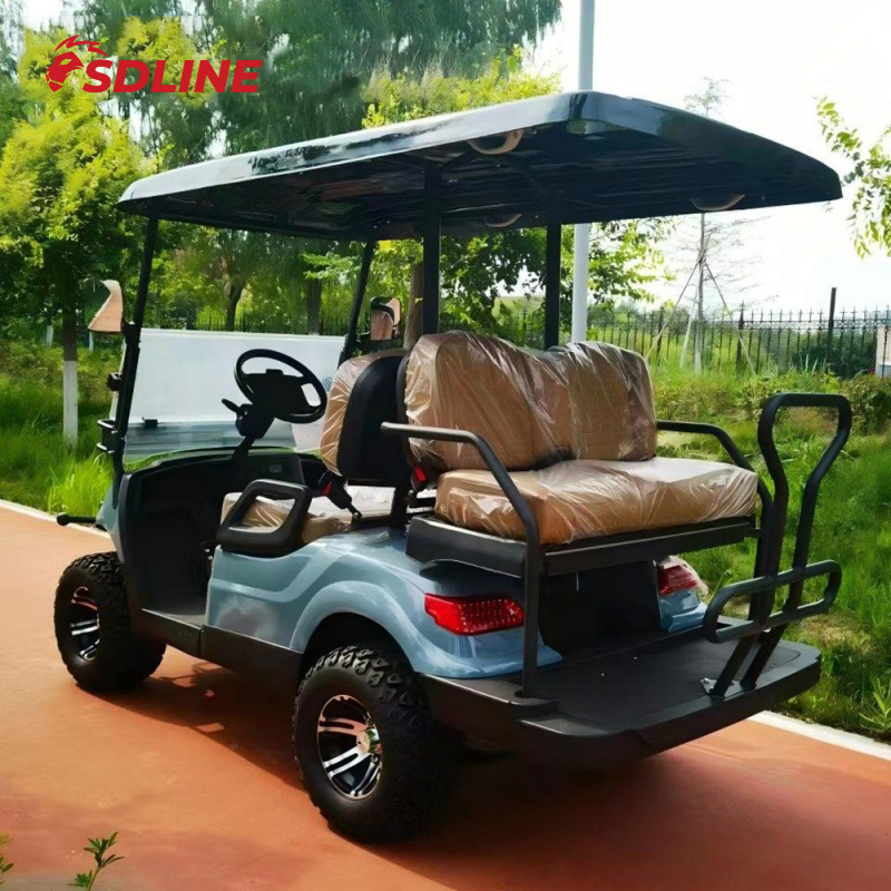 Caça 2+2 Pessoas Passageiro Pessoa Assento Assento 48V 72V Utilitário Legal Rua Lítio Gasolina Elétrico Carrinho de Golfe Preço para Carregador de Bateria Buggy Alimentado