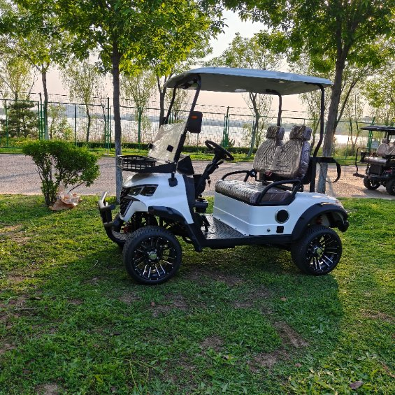 2 Seats Golf Cart 60V 100ah Battery Electric for Golf Course Use