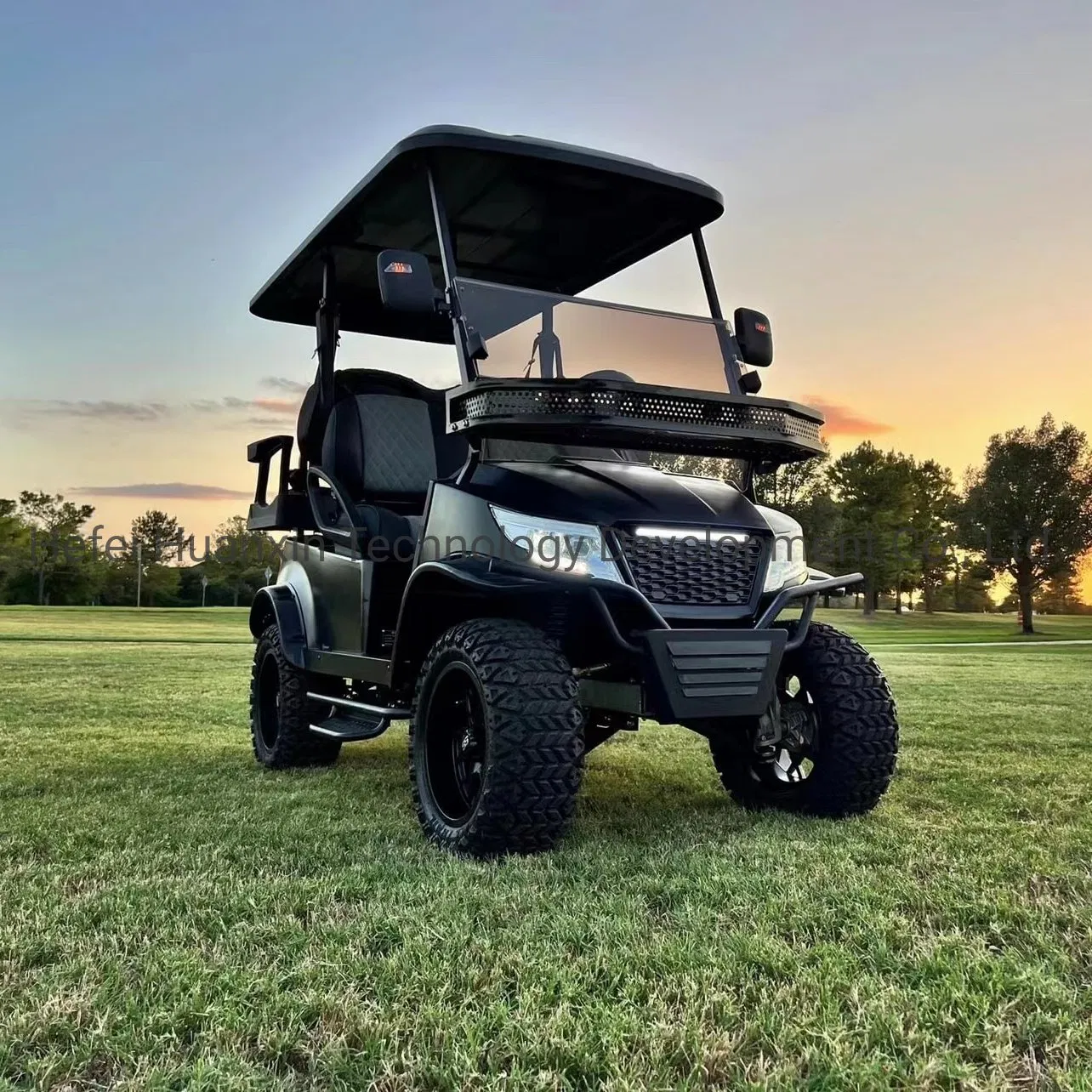 4 Veículo Utilitário Elétrico Carrinho de Golfe Direto da Fábrica