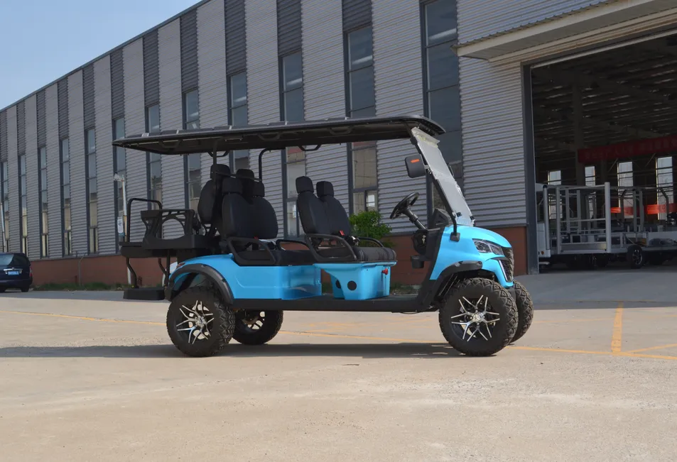 Carrinho de Golfe Elétrico Pronto para Acessórios Pessoais com Extensa Variedade de Acessórios Opcionais