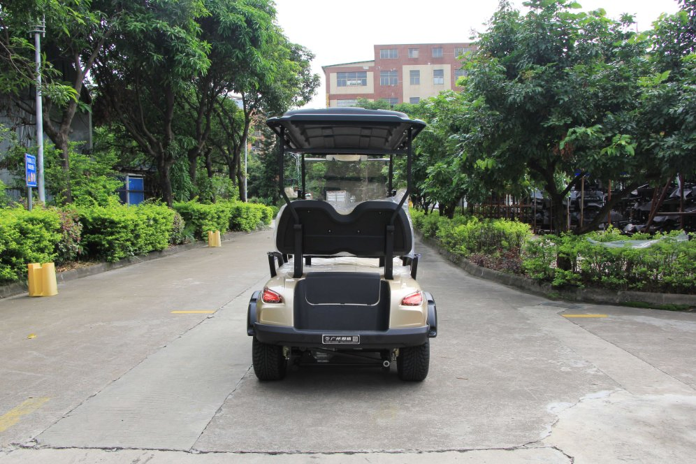 Acessórios para Carro de Golfe Legal na Rua 4 Lugares 48/72V Carrinho de Golfe Elétrico