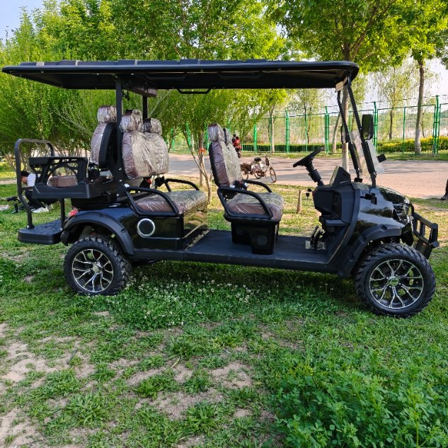New Style Golf Cart with Accessories 60V 100ah Battery for Golf Club