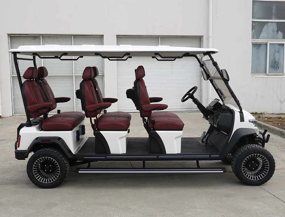 Detalhe do Carrinho de Golfe 3