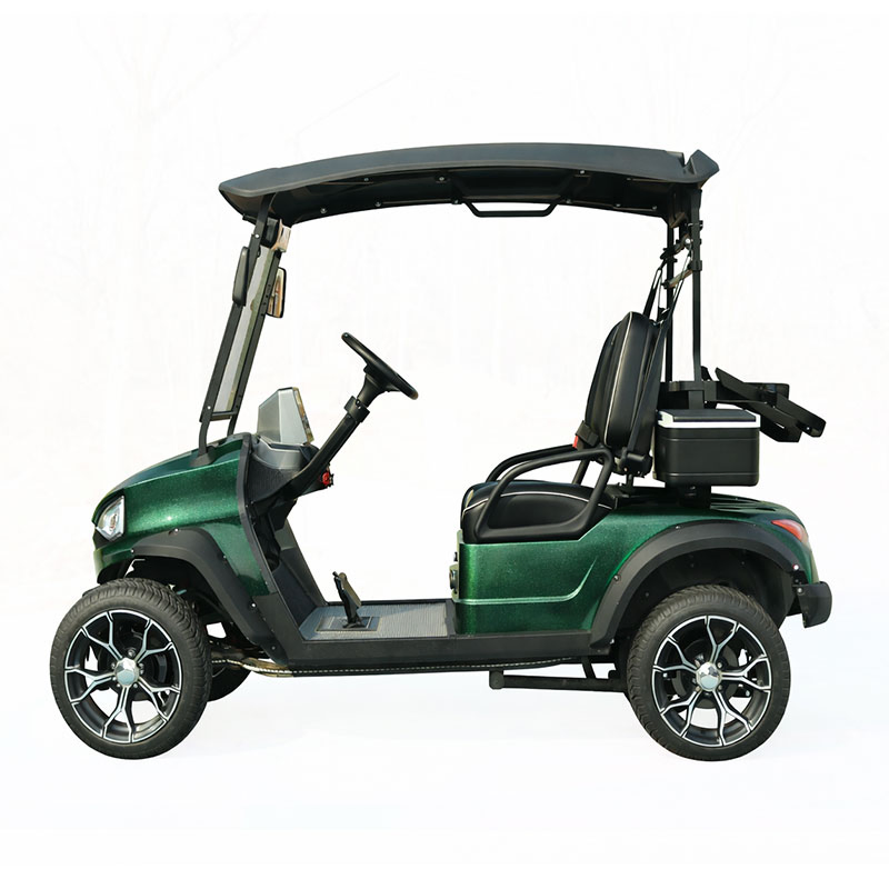 Aprovado pelo CE 2-Seater Carrinho de Golfe com Bateria de Longa Duração para Uso em Fazenda, Resort e Parque