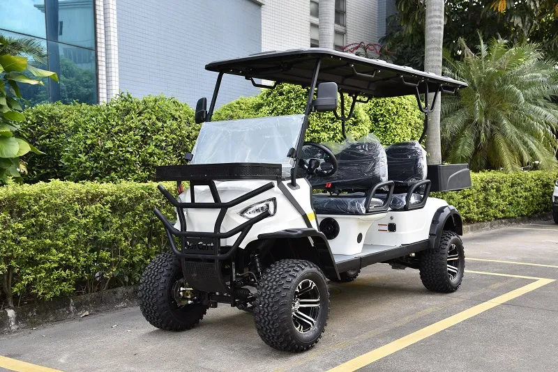 Carrinho de Golfe 3