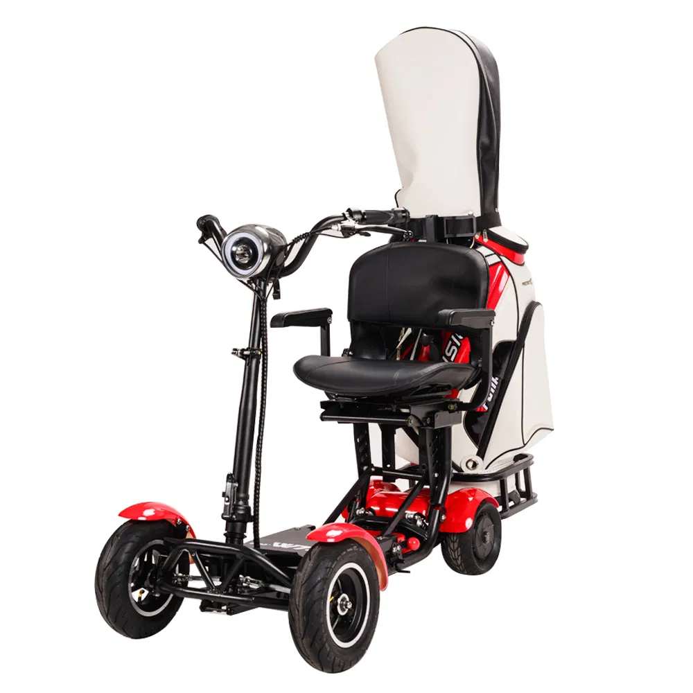 Carrinho de Golfe Elétrico com Assento