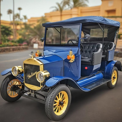 Carrinho de Golfe de Luxo Premium Modelo T para Mini Clubes
